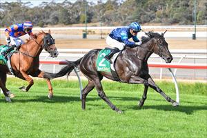Coco Jen, Kilmore 14 March 2025